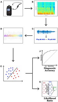 Voice in Parkinson's Disease: A Machine Learning Study